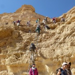 מעלה פלמח (2)