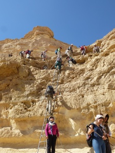 מעלה פלמח (2)