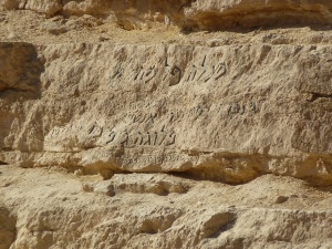 מעלה פלמח (6)